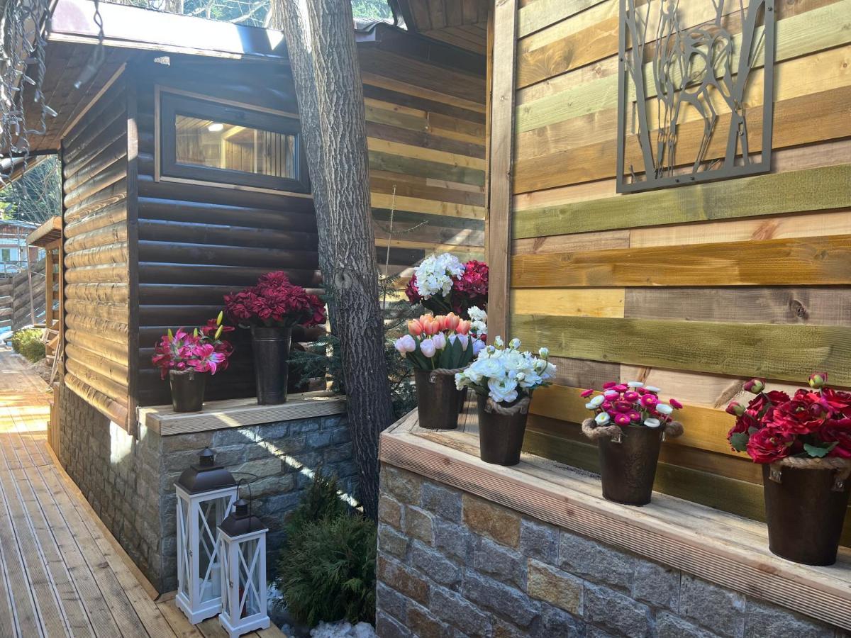 Moura & Villas Borovets Mountain Relax Spa Hotel 외부 사진